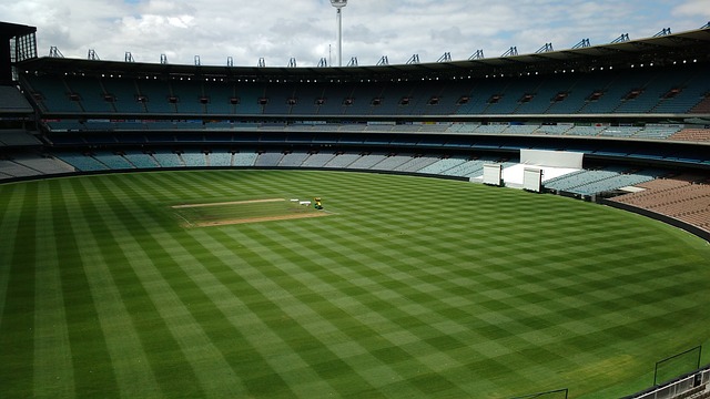 新秀赛季便 新秀赛季便