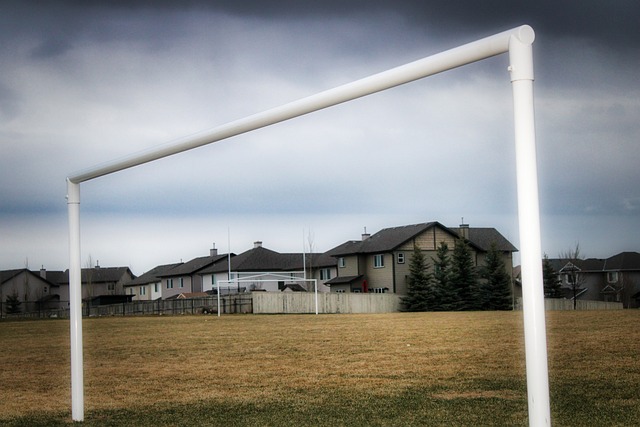 分未能如愿 分未能如愿