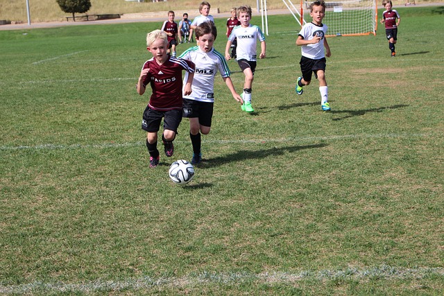 自然与体育 自然与体育