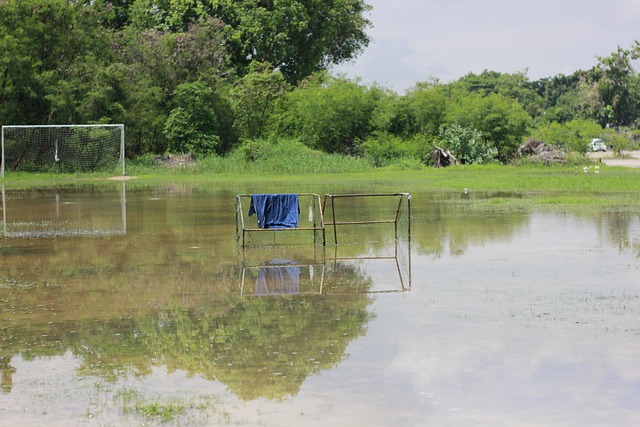 赛制改革 赛制改革