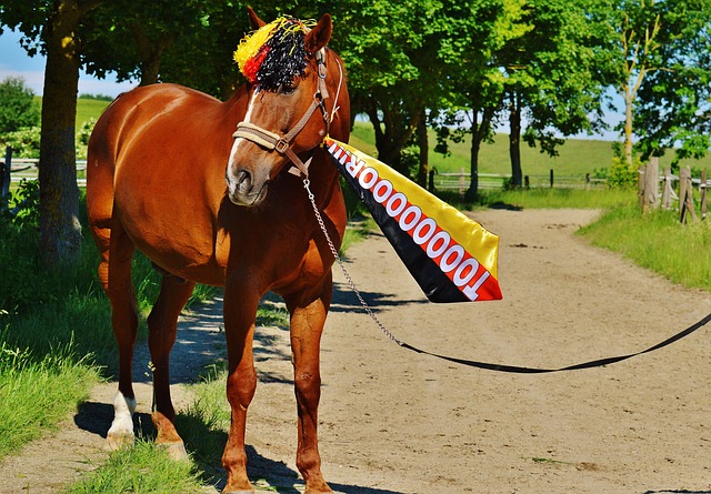 他的助攻能 他的助攻能