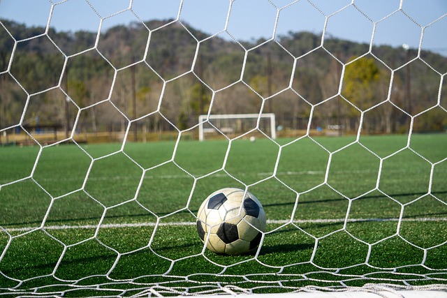 的过渡期 的过渡期