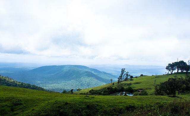 场上创造奇 场上创造奇