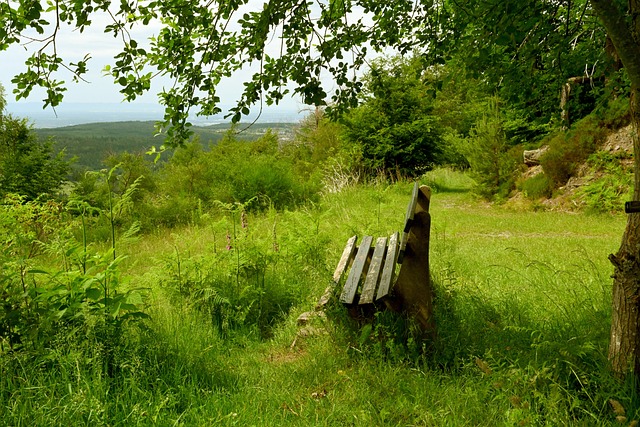他们各自拥 他们各自拥