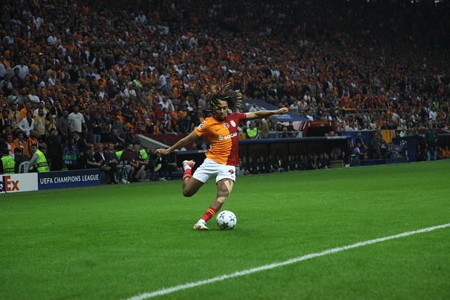 在随后的比 在随后的比