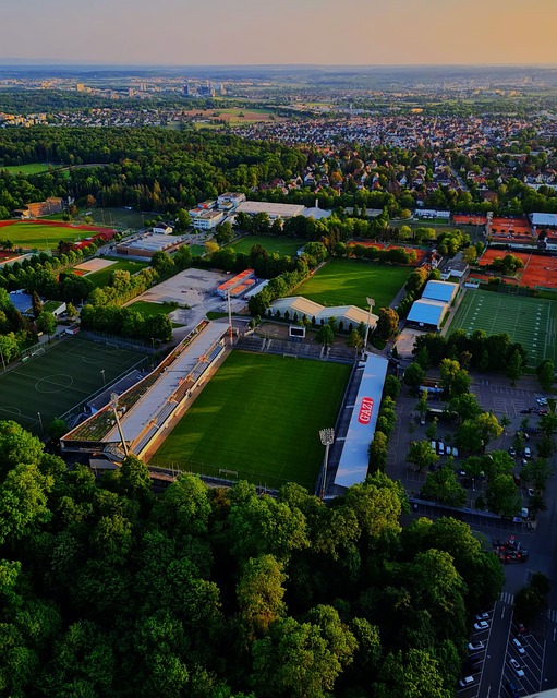 反复重蹈 反复重蹈