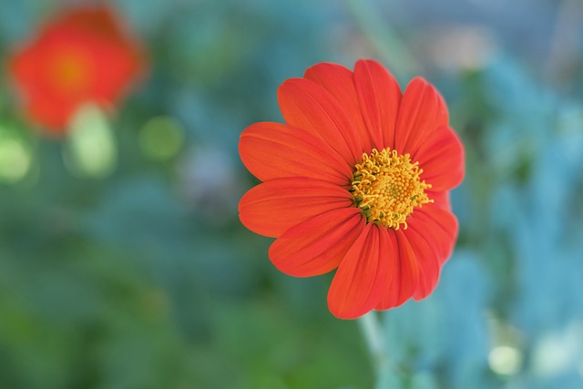 的球迷来说 的球迷来说