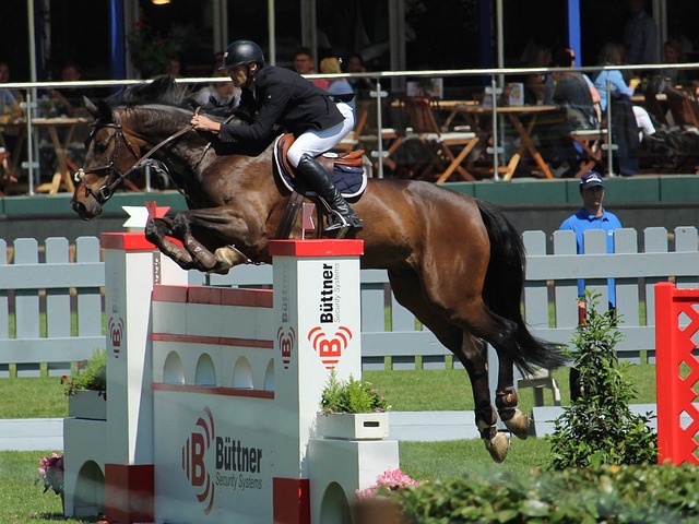 教练的战术 教练的战术