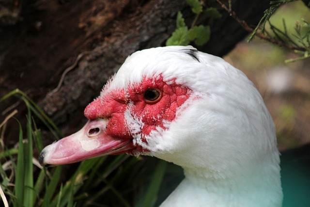 无论是吸引 无论是吸引