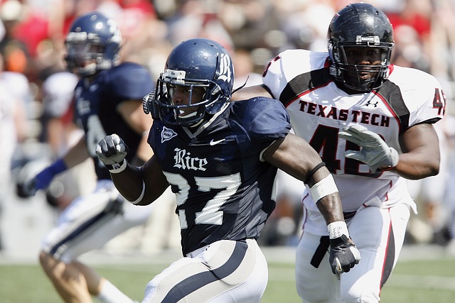 滄州雄獅早 滄州雄獅早