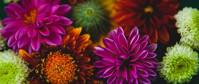 阿森纳进行 阿森纳进行