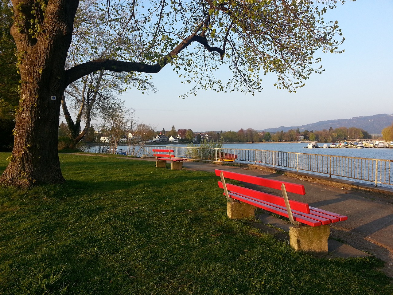 罚透明度来 罚透明度来